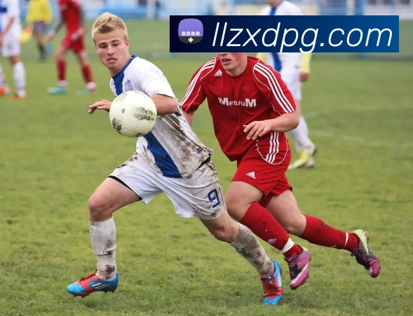 pg模拟器平台生态图